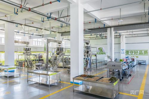 榆中產業升級新篇章 以技術創新為引擎，加速產業鏈與創新鏈深度融合