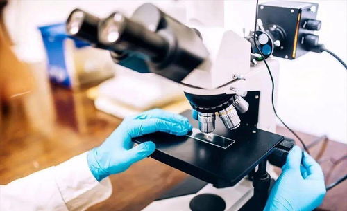 石墨炔 寬帶飽和吸收與瞬態(tài)吸收特性的納米材料新星